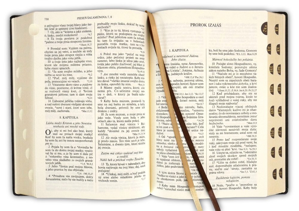 Biblia, Roháčkov preklad, pevná väzba, rodinný formát, tmavohnedá, 2022